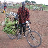 Delivery bicycle 2