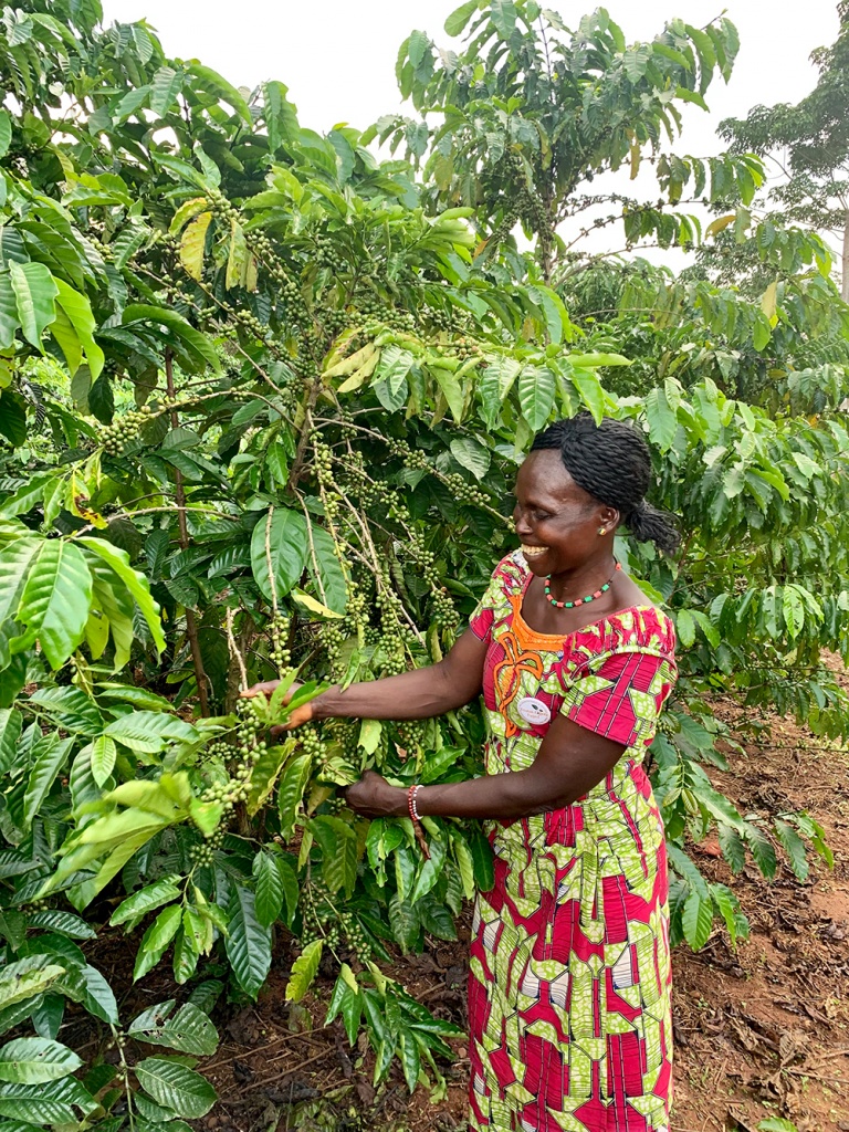 Ngandali remembers how her father once planted coffee. It wasn’t until she heard about the Karawa Coffee Project that she could start resupplying her land with the kinds of coffee plants she once knew in her childhood. 